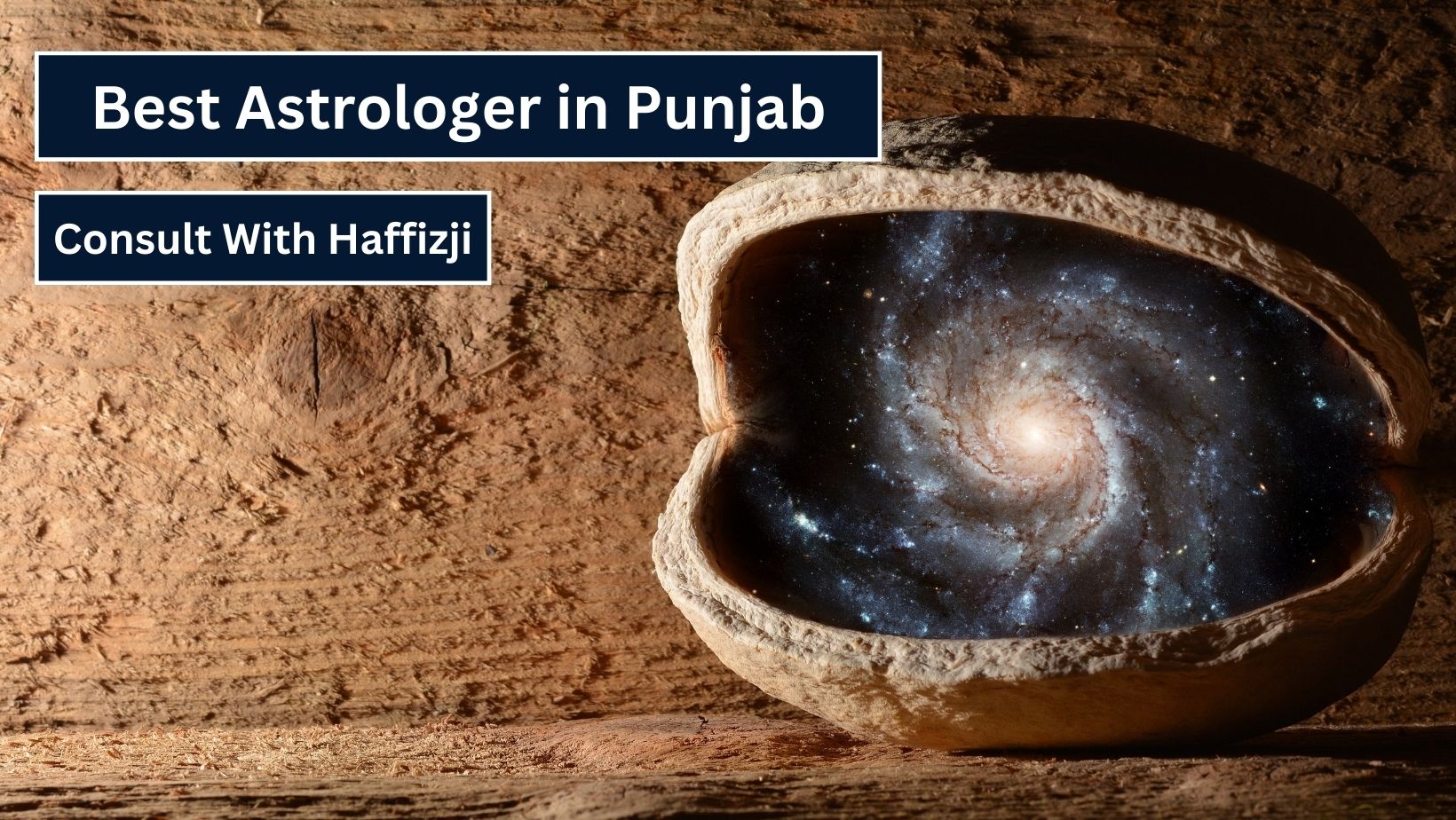 Astrologer in Punjab
