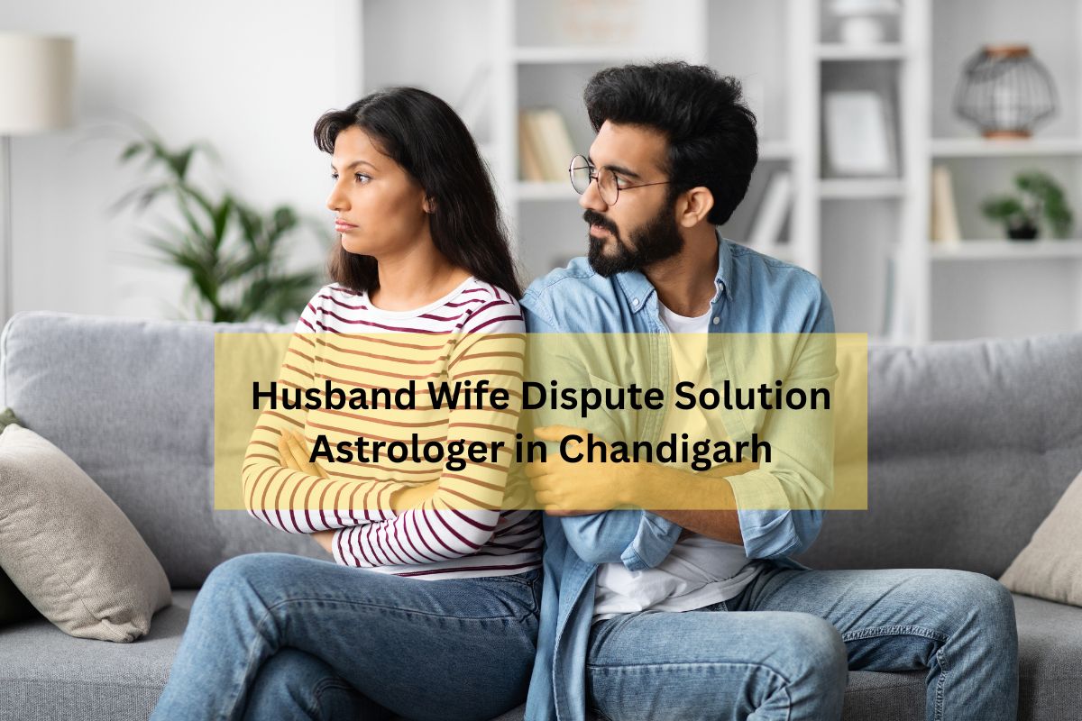 Husband Wife Dispute Solution Astrologer in Chandigarh